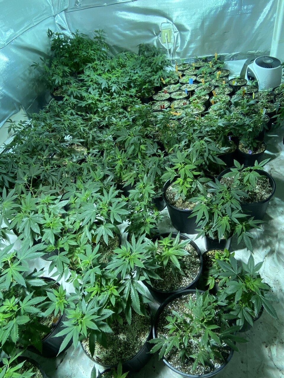 Veg Room