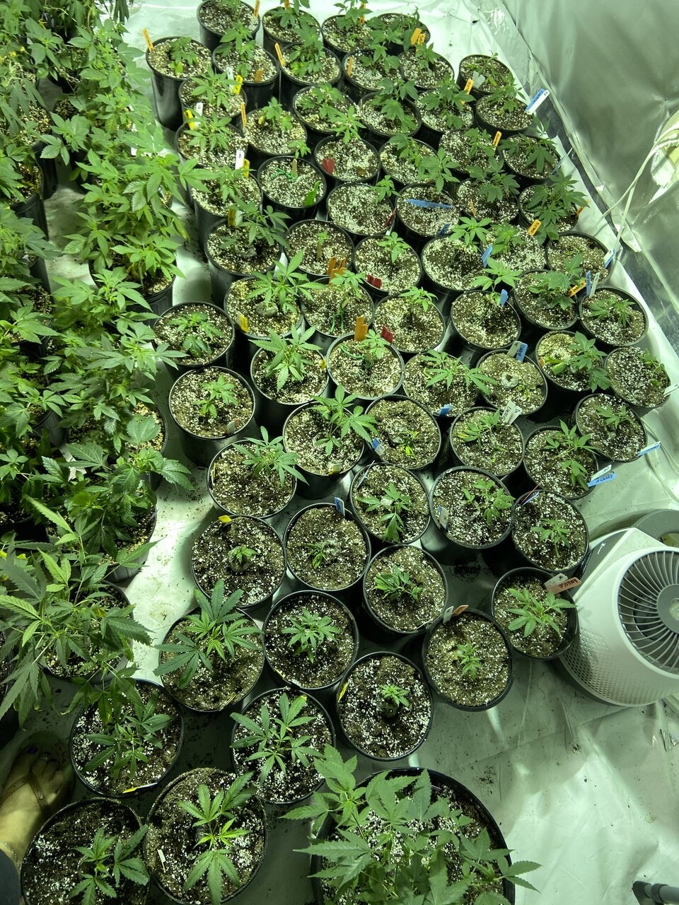 Veg Room