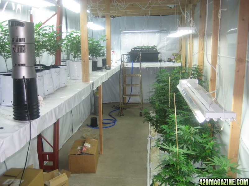 Veg room