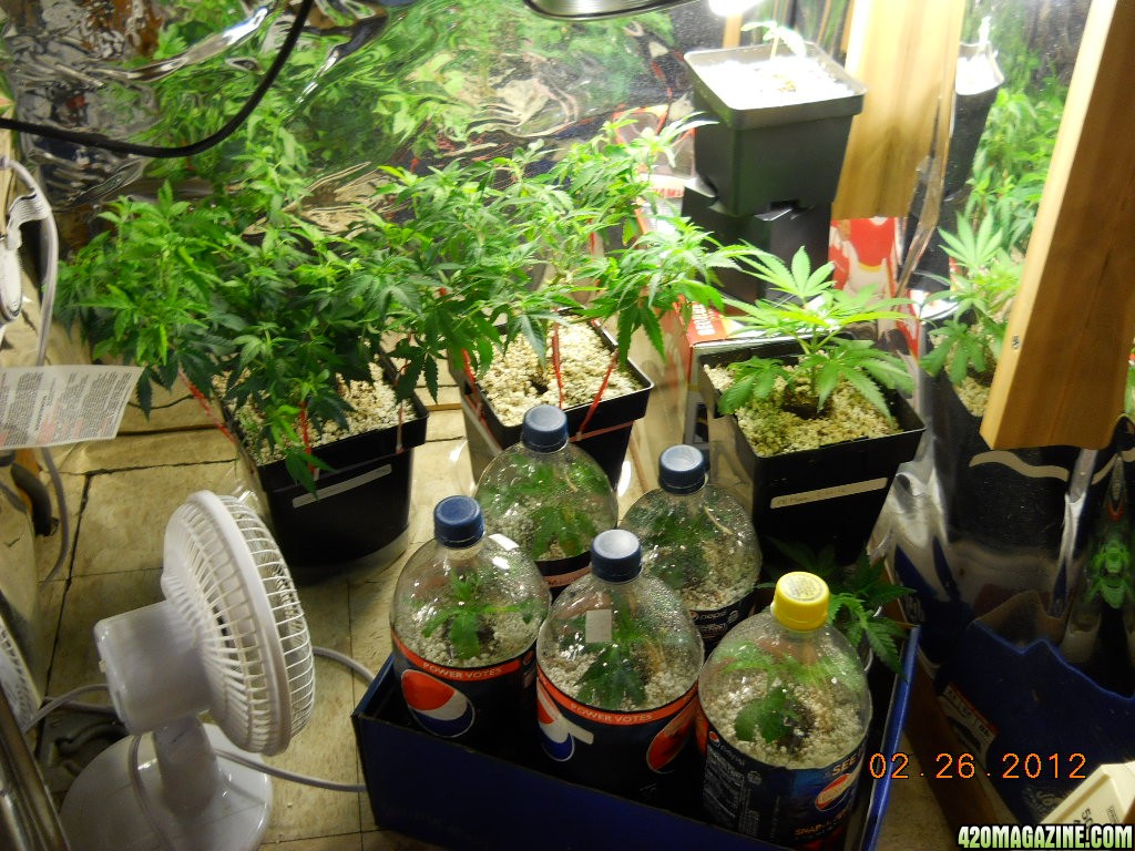 veg room