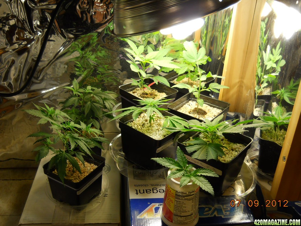 veg room