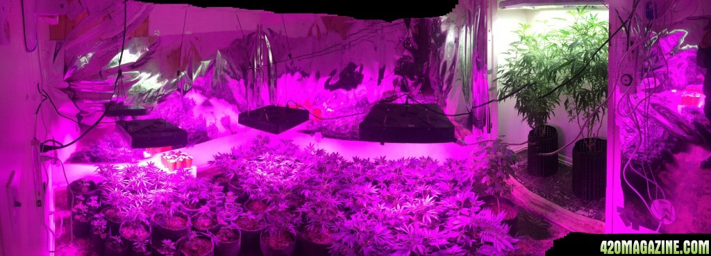 Veg room