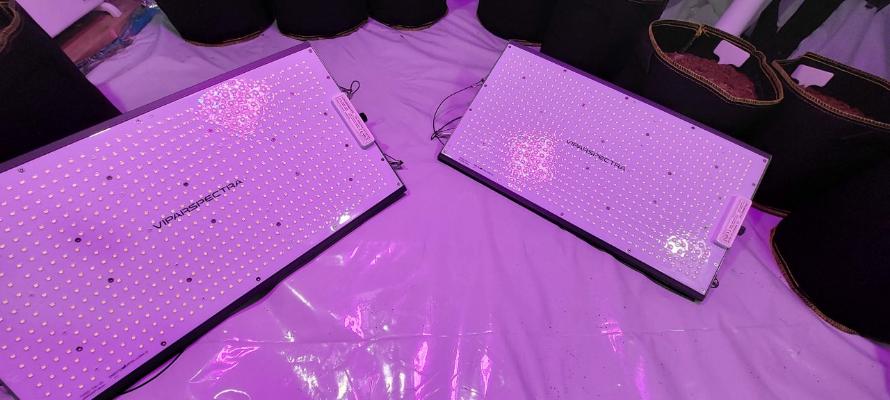 ViparSpectra-P2000 LED grow light.jpg