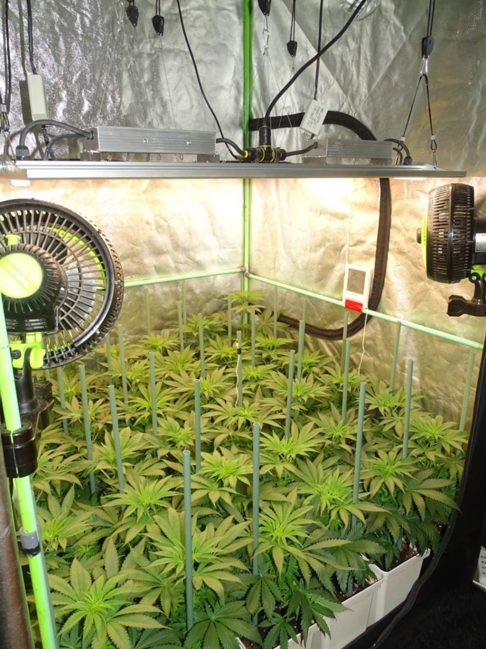 ViparSpectra-XS4000 LED Grow Light.jpg