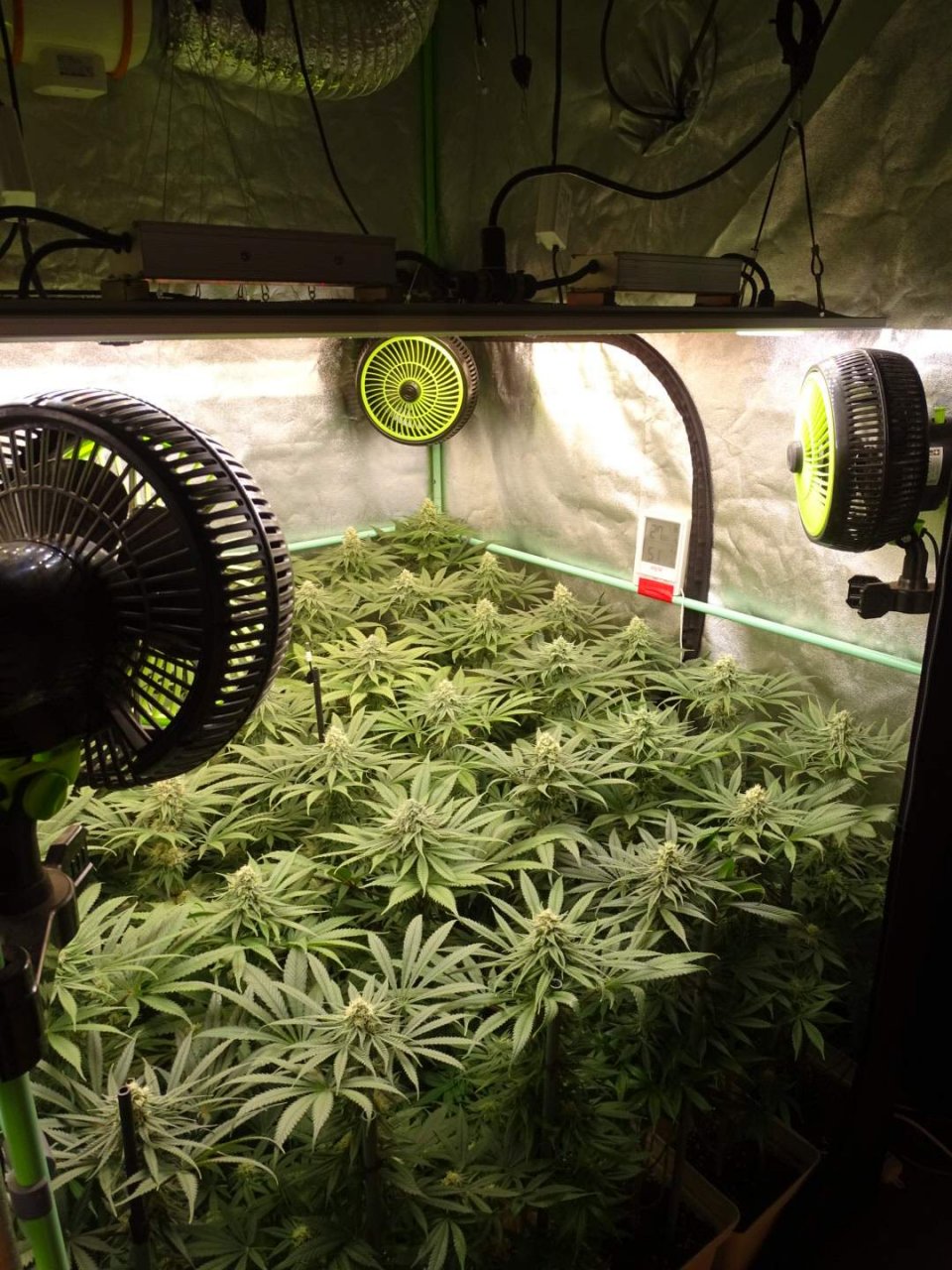 ViparSpectra-XS4000 LED Grow Light.jpg