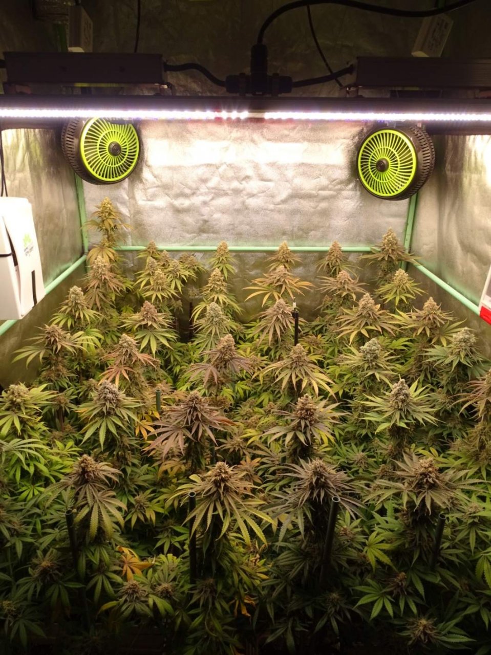 ViparSpectra-XS4000 LED Grow Light.jpg