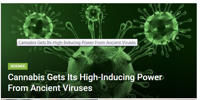 Virus induced..PNG