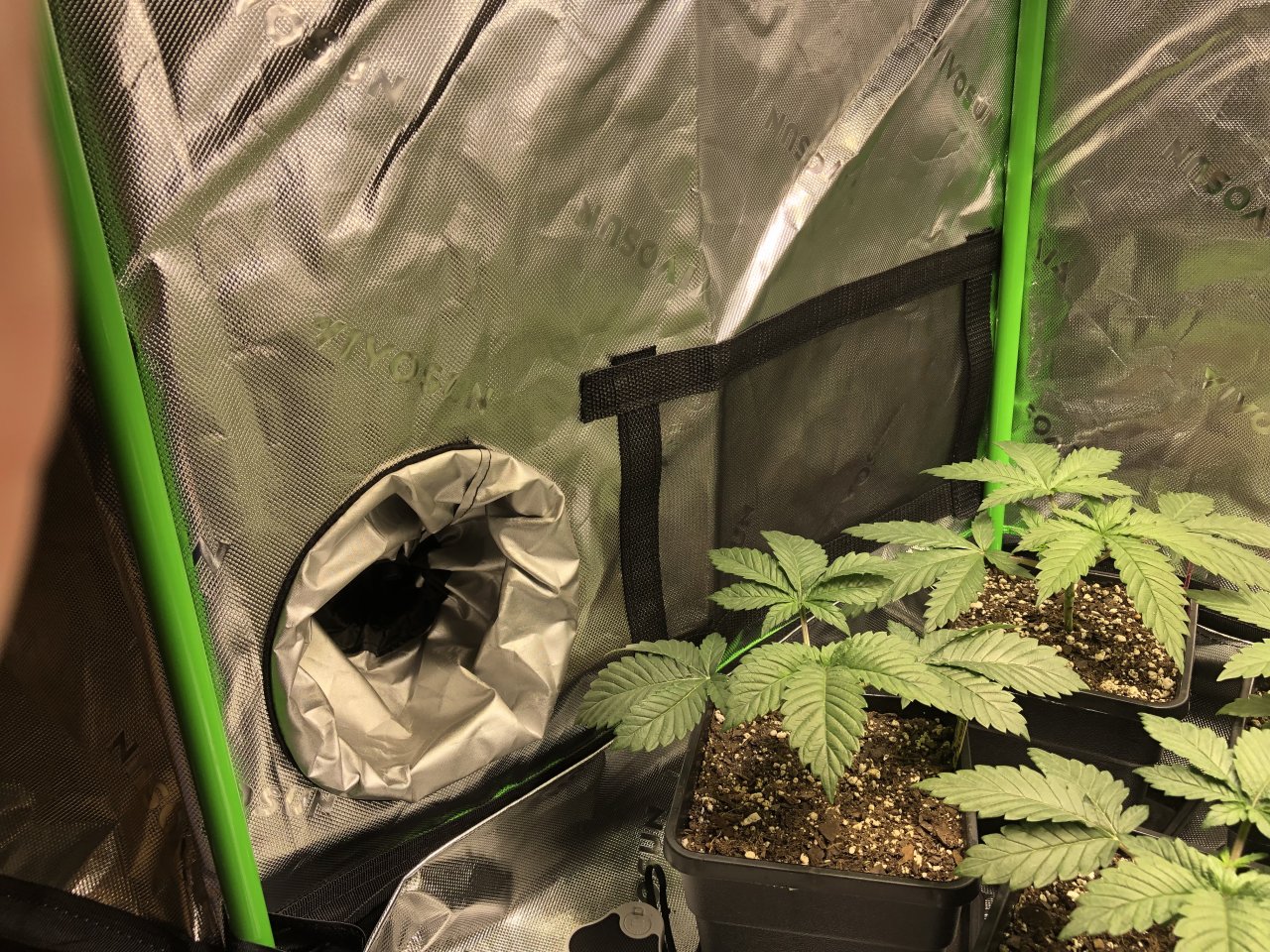 Vivosun 2x4x5 Grow Tent Inside bottom Left.jpeg