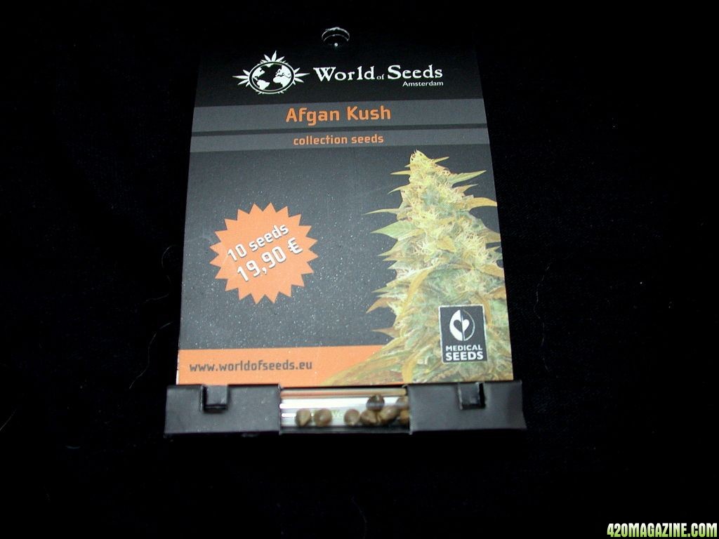 W.O.S. Afghan Kush