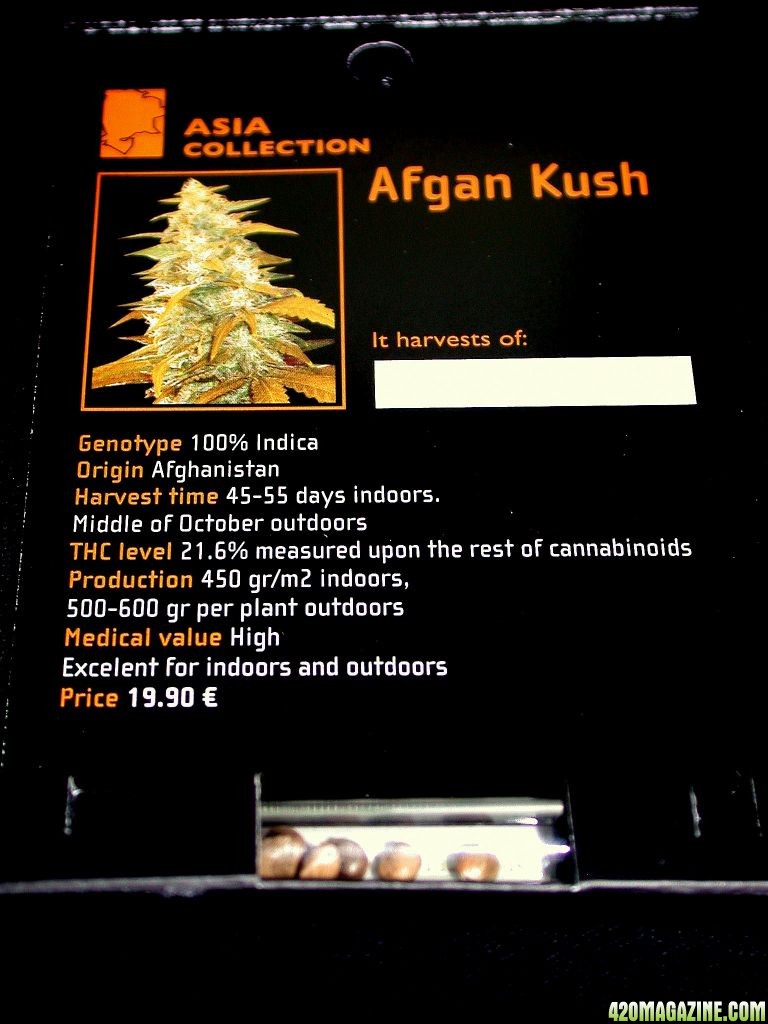 W.O.S. Afghan Kush