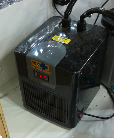 water chiller