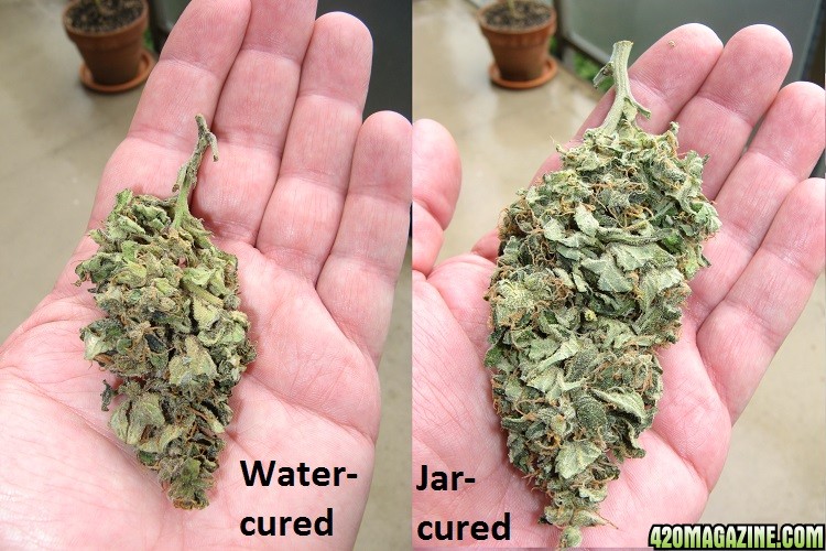 Water curing