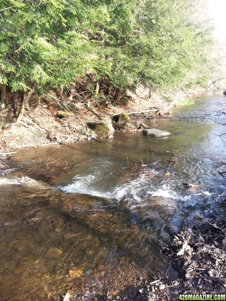 Watering Hole Spring fed Creek