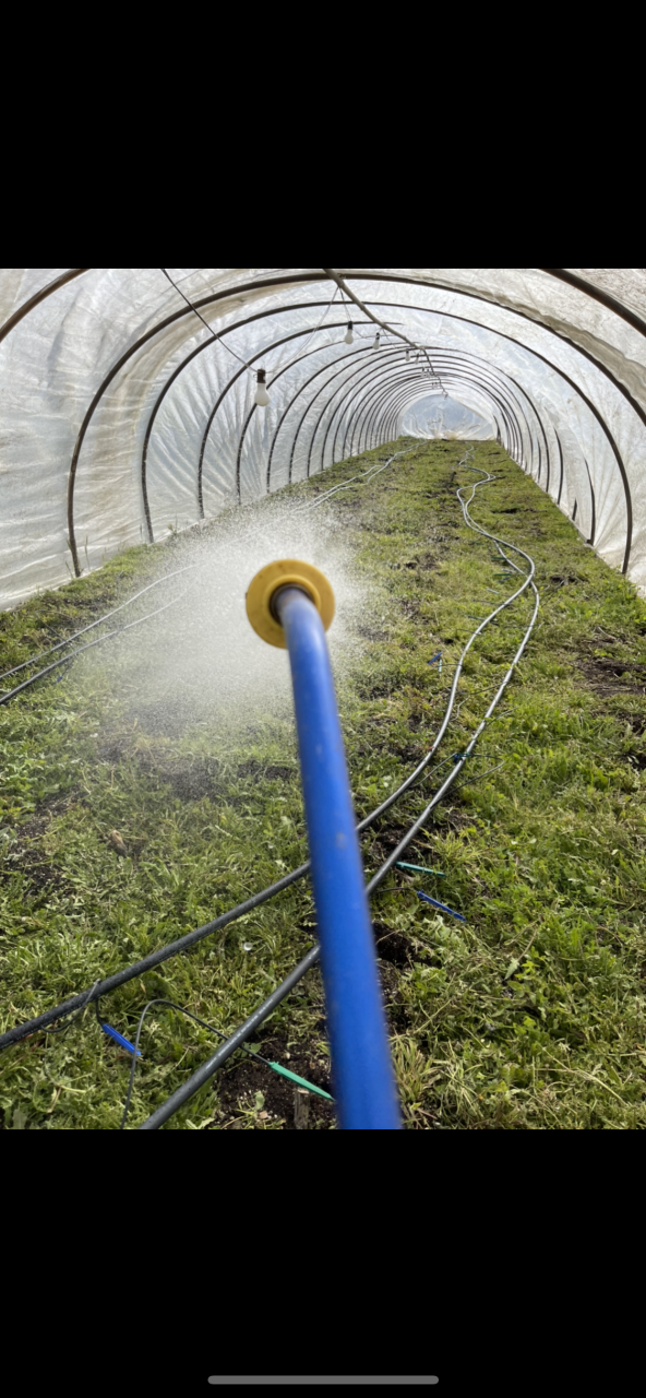 Watering in bed 11