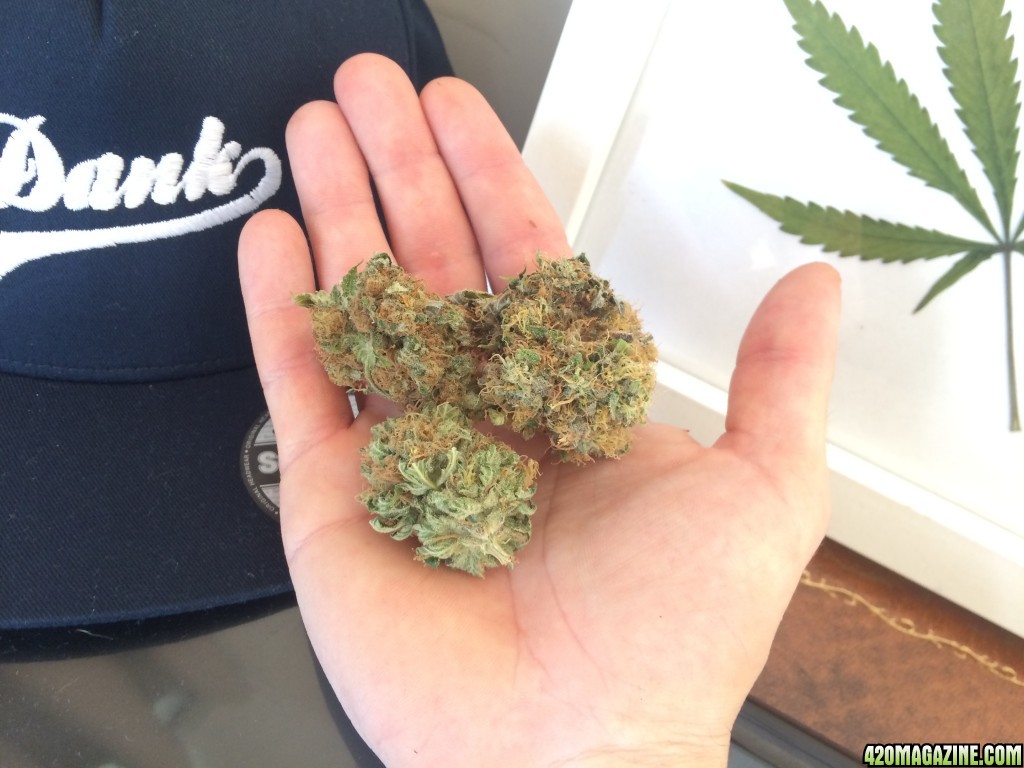 We don't do diet bud round here ;) Kiwi Skunk