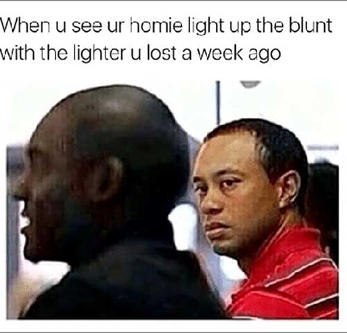 weed-memes-20.jpg