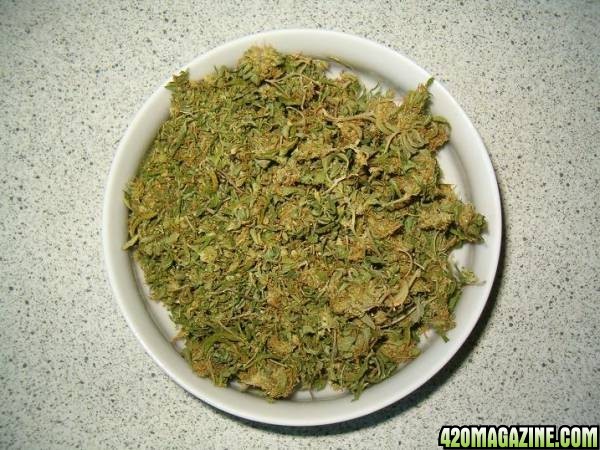 weed (silver haze)