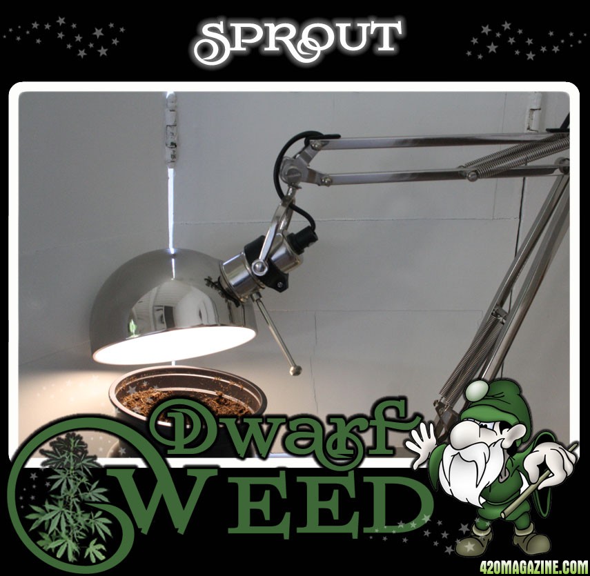 weed-spout