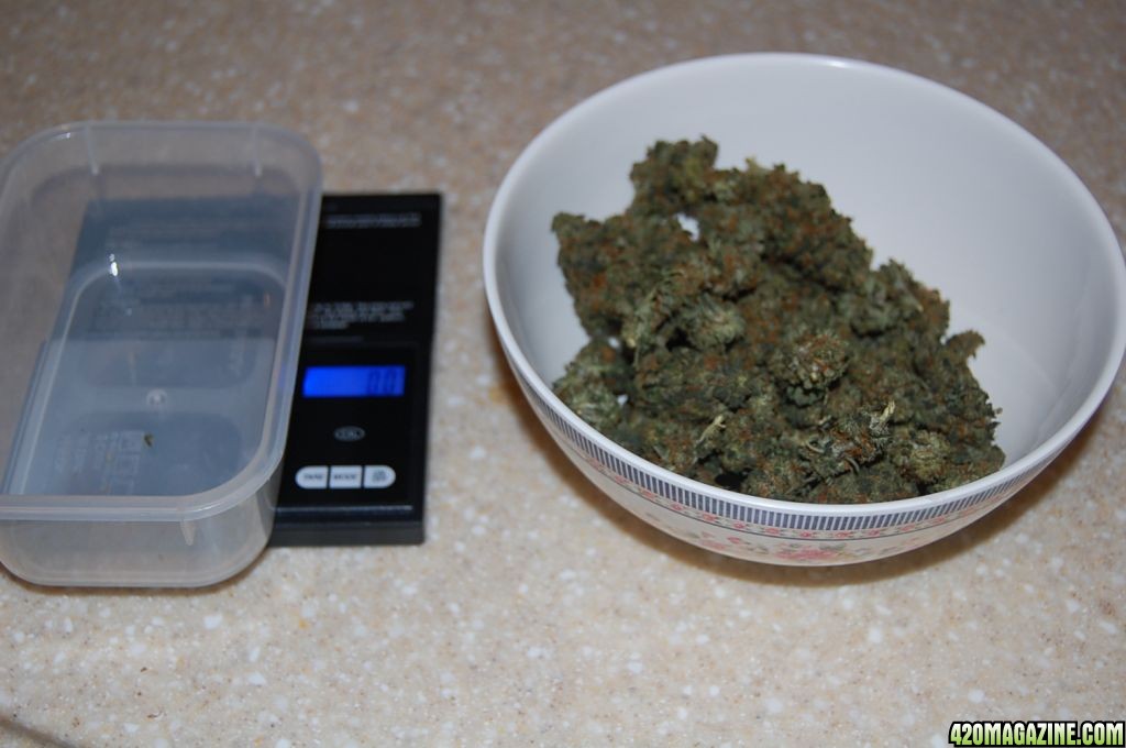 weed with scale and tare