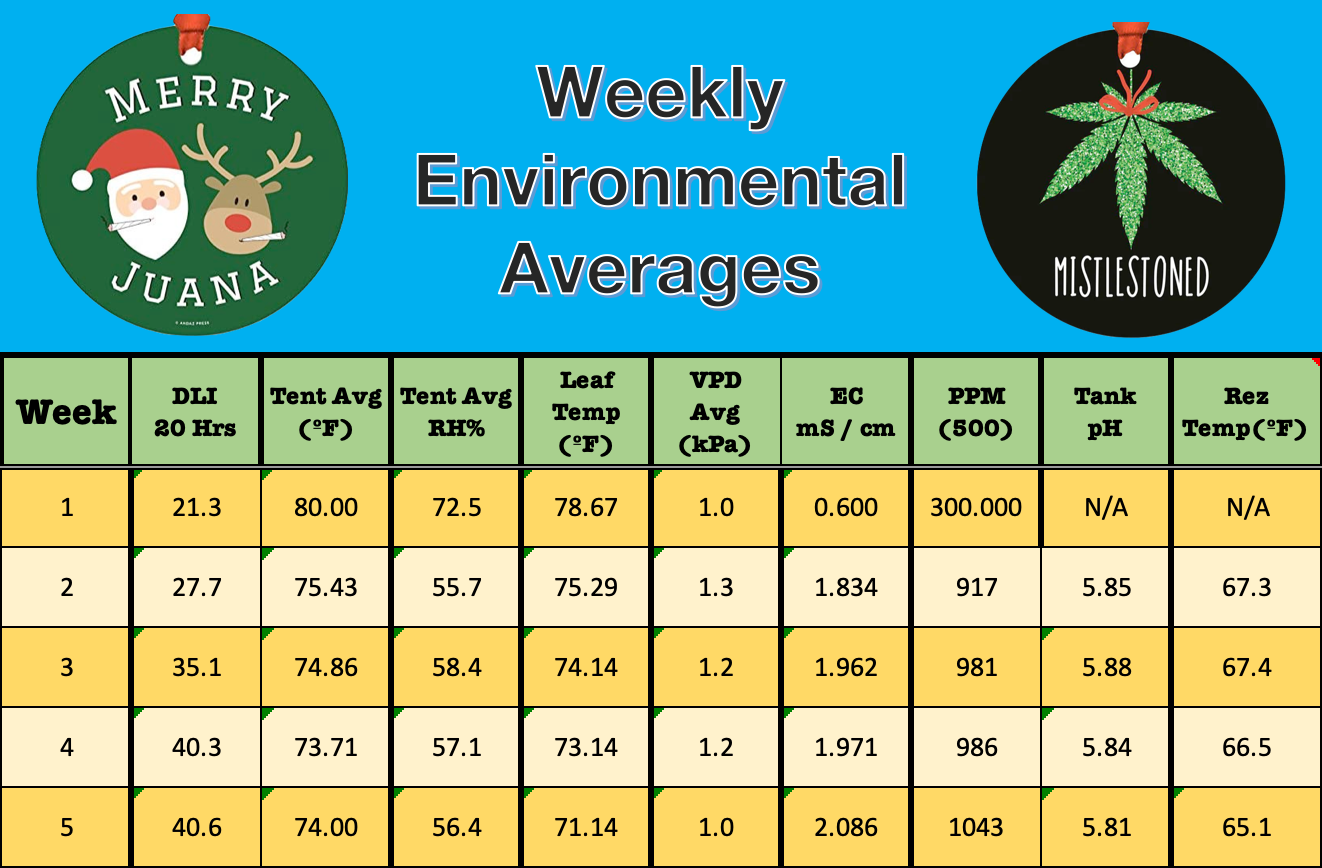 Week 5 Averages.png