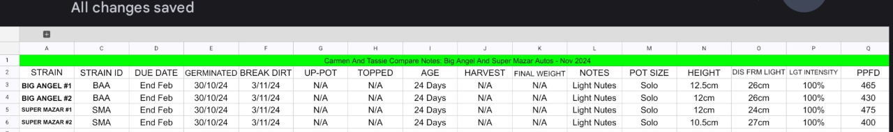 Weekly Update: Week 3