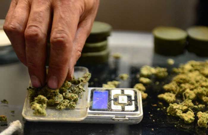 Weighing Buds2 -Getty Images