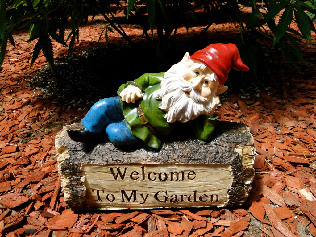 Welcome Garden Gnome