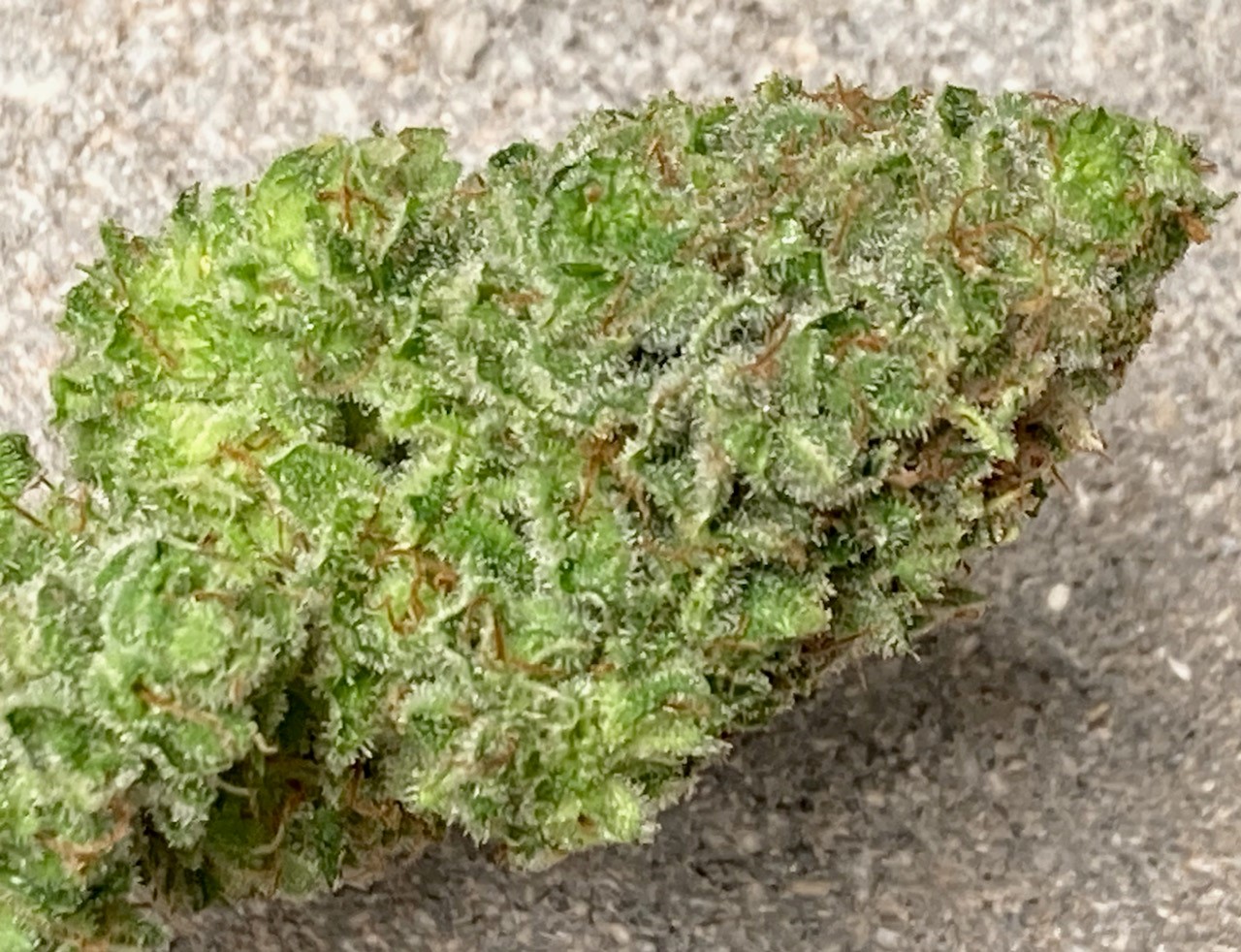 wet trim ab bud.jpg