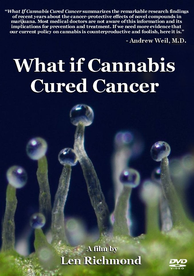 What if Cannabis Cured Cancer?