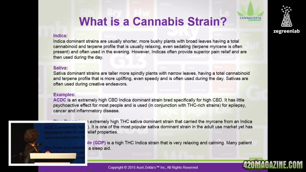 What is a cannabis strain?