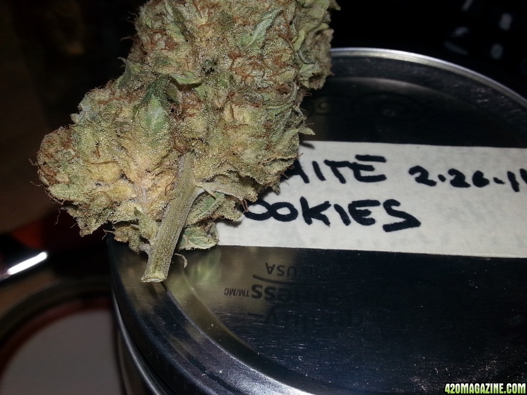 White Cookies