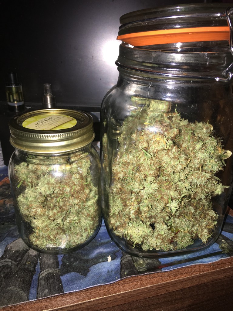 White Strawberry Skunk Half Harvest jarred to cure