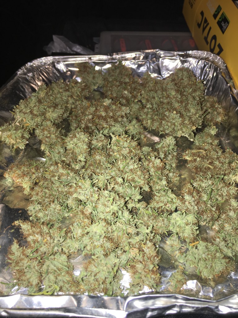 White Strawberry Skunk Half Harvest