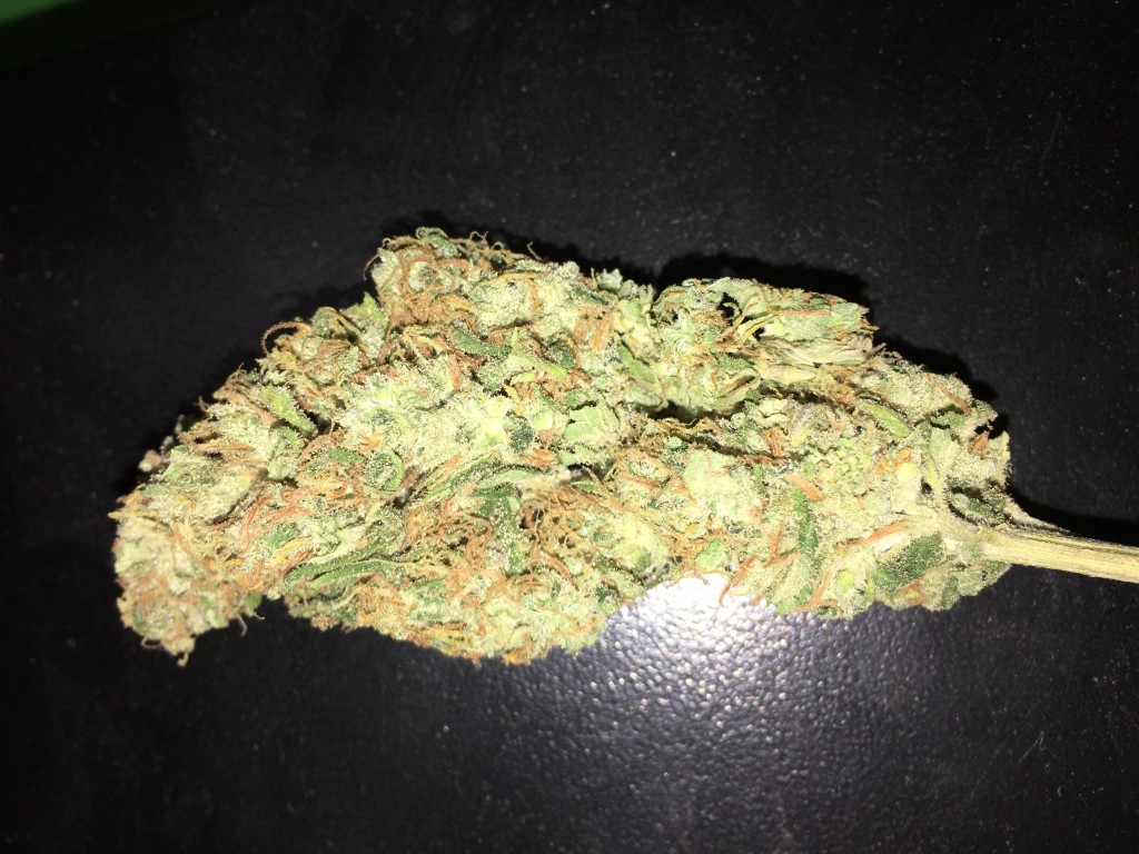 White Widow