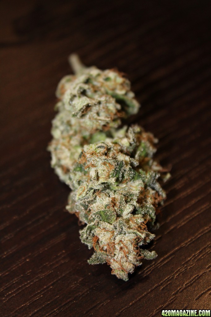 White Widow