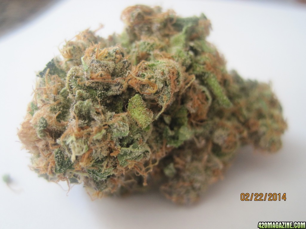 White Widow