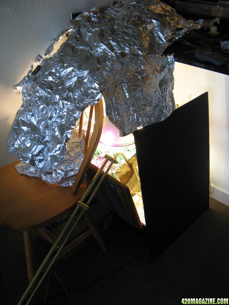 Who needs a grow tent when you've got used aluminum foil?