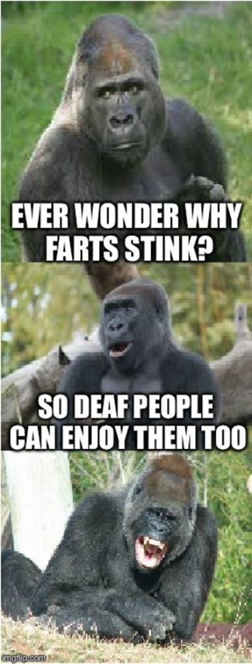 Why farts stink.jpg