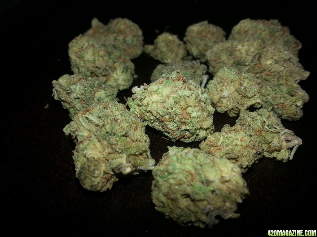 Widow Cheese nov 2014