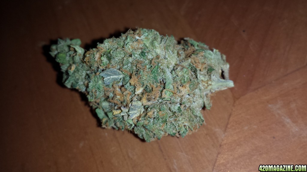 Wifi OG