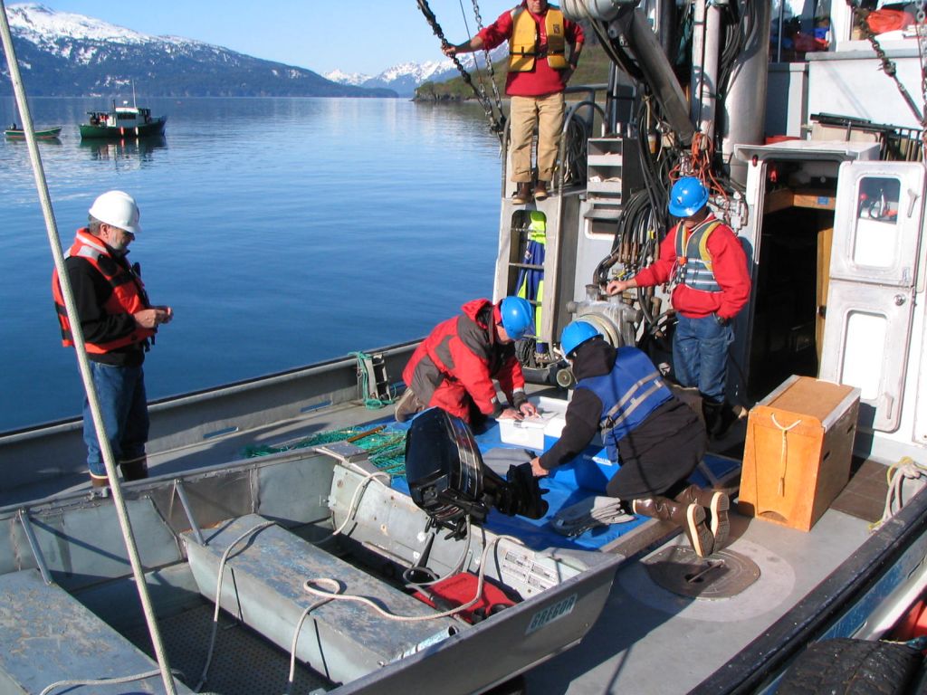 Wildlife_Capture_Drill_in_Valdez