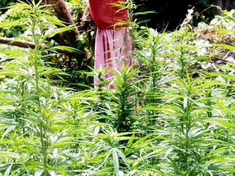 Woman in Field