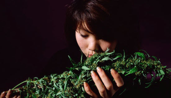 Woman Smelling Big Bud