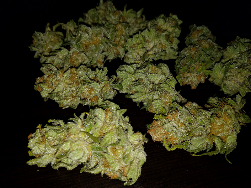 Wonder Woman Bud Pic 1