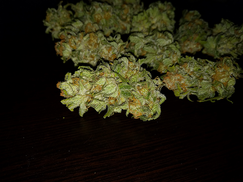 Wonder Woman Bud Pic 2