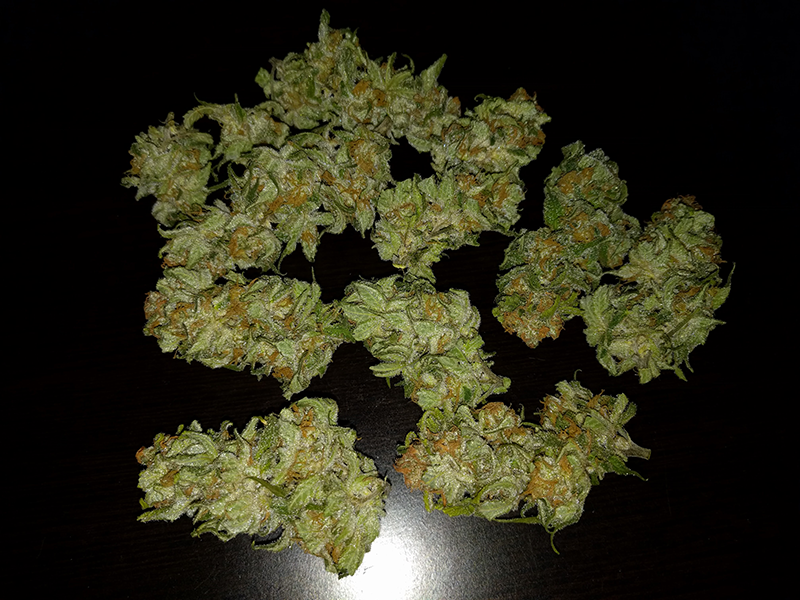 Wonder Woman Bud Pic 3