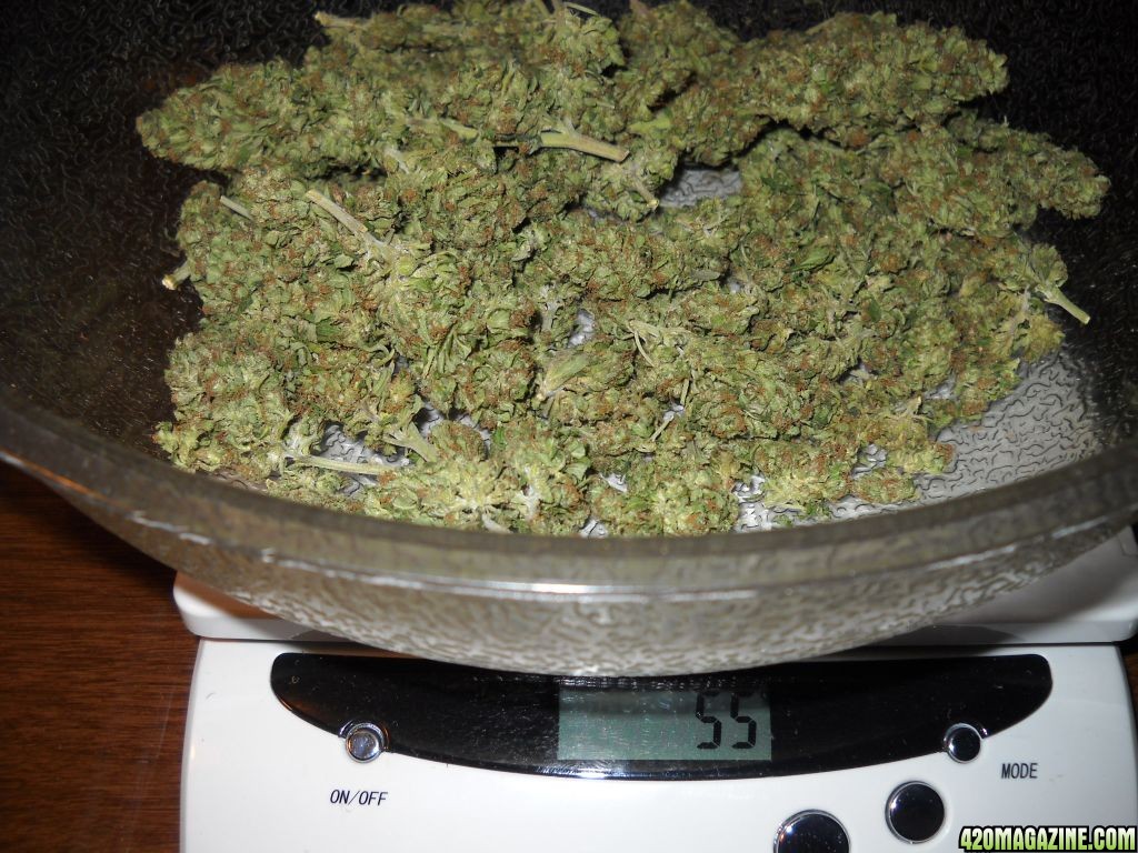 56 grams of weed