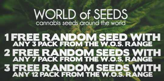 World of Seeds Promo