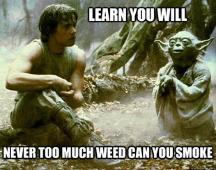 yoda_luke_funny_weed.jpg