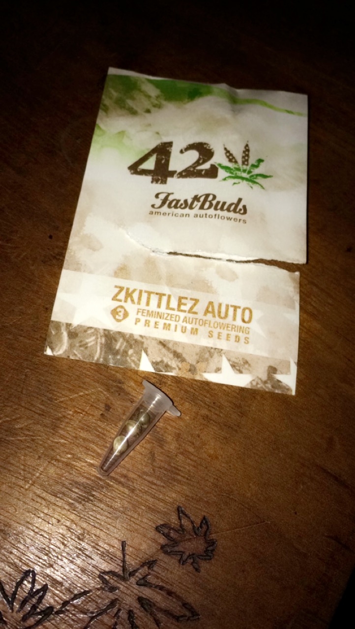 Zkittlez Auto!!